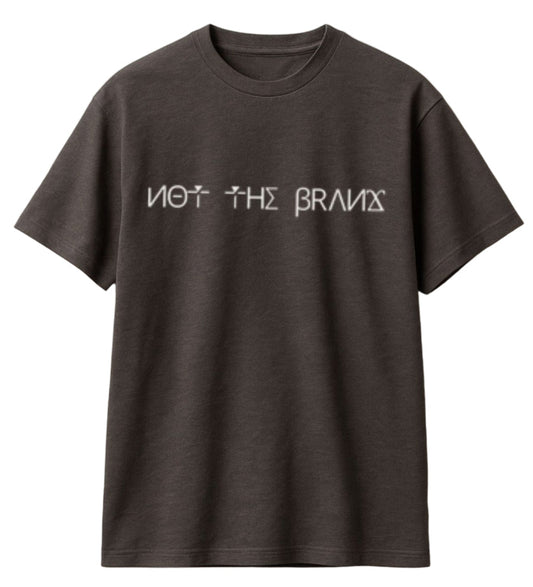 Oversized tee shirt- frontside