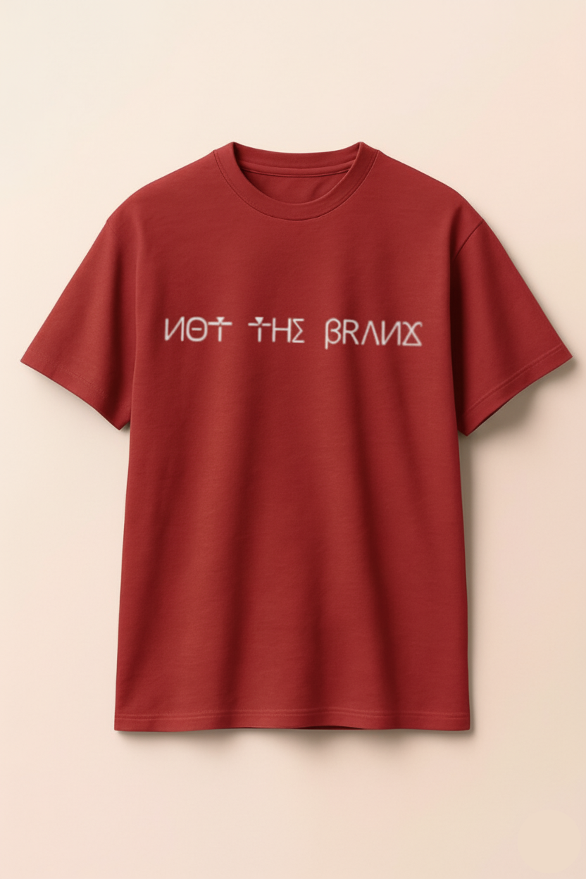 Oversized tee shirt- frontside