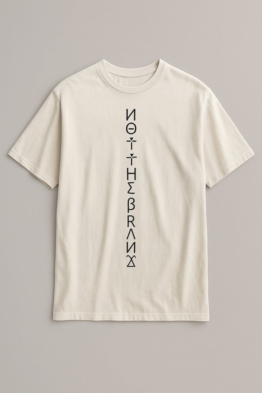 Oversized tee shirt- frontside