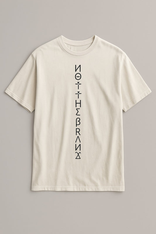 Oversized tee shirt- frontside